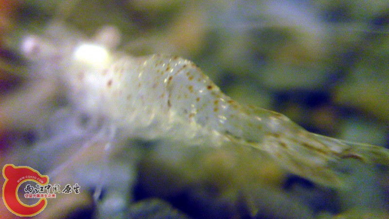 P07-12-10_15.42.jpg