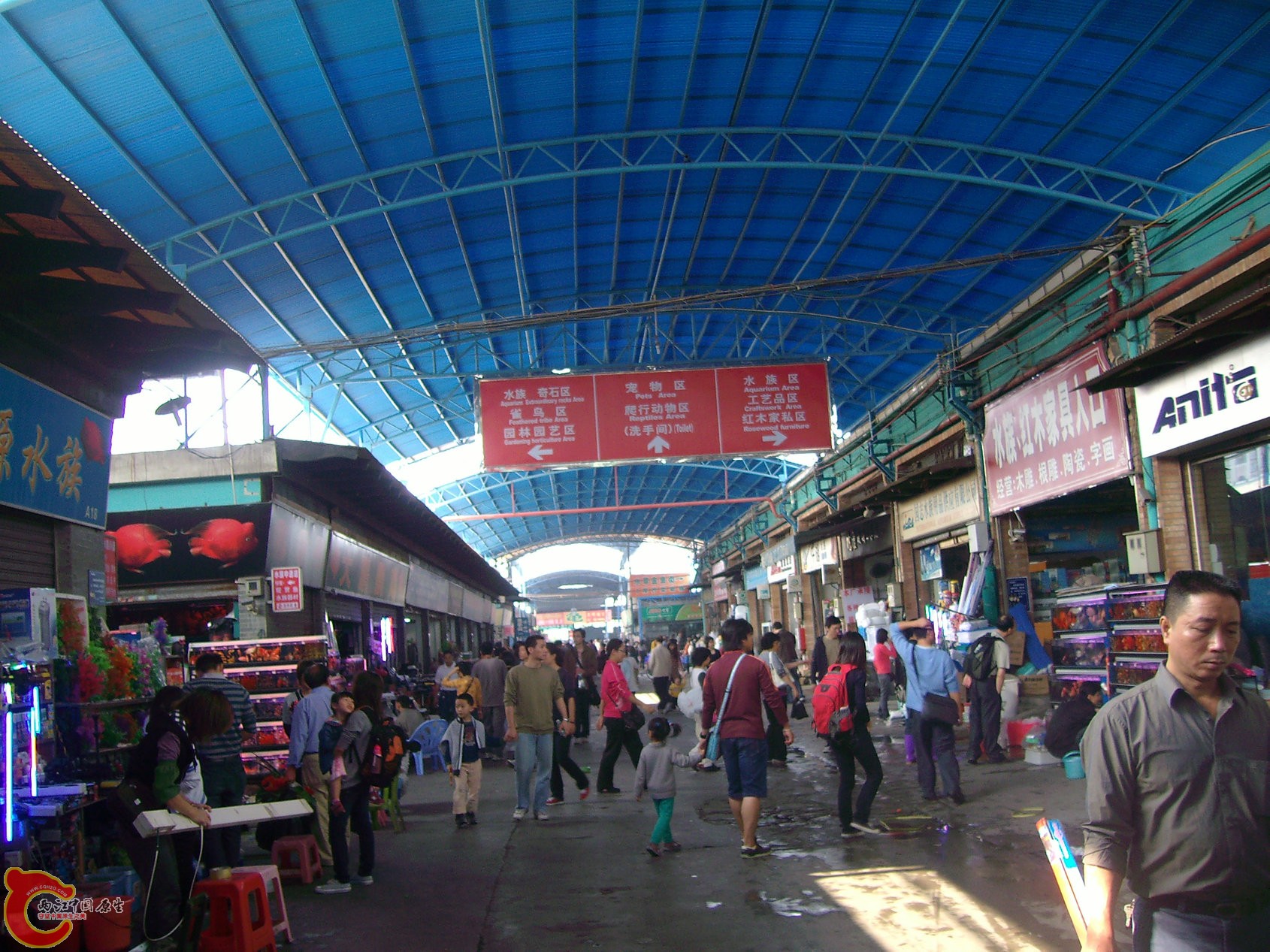 IMG_6453.JPG