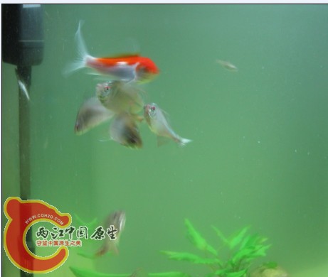 )_71D7ZN25KB]_AQ(400{KC.jpg