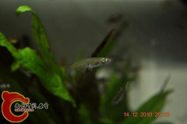 DSC_1189.JPG