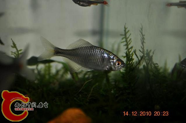 DSC_1188.JPG