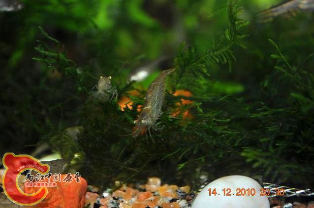 DSC_1199.JPG