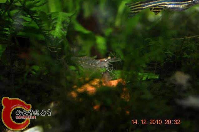 DSC_1200.JPG