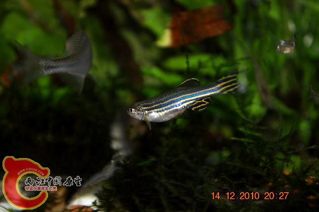 DSC_1197.JPG