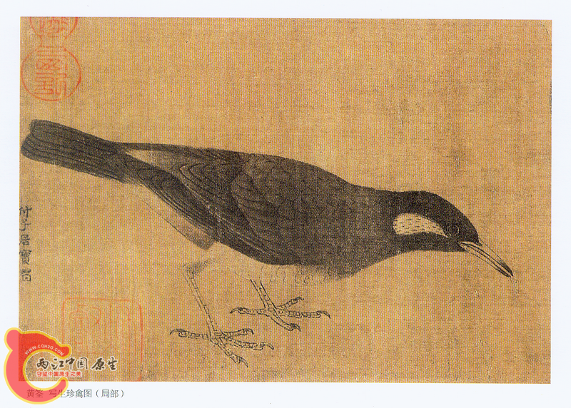 “八哥”.png