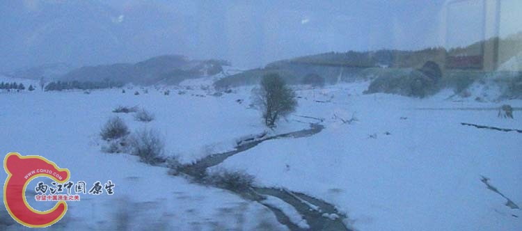 DSCN0905.JPG