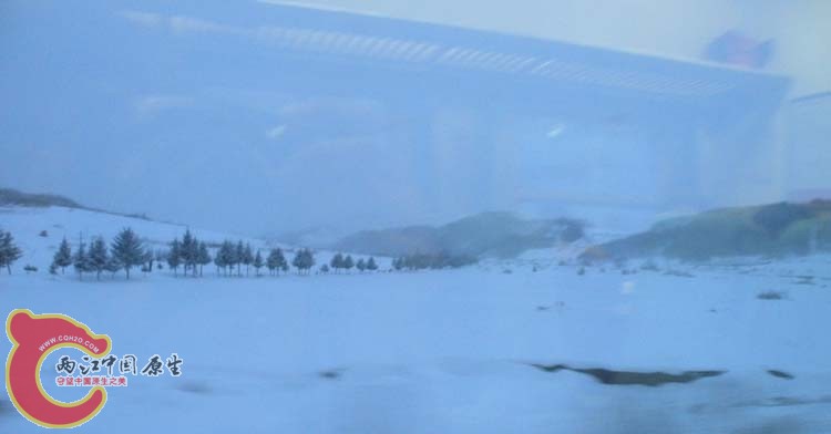 DSCN0906.JPG