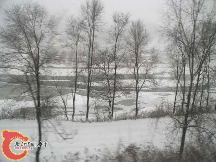 DSCN0980.JPG