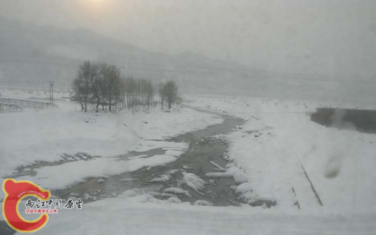 DSCN1023.JPG