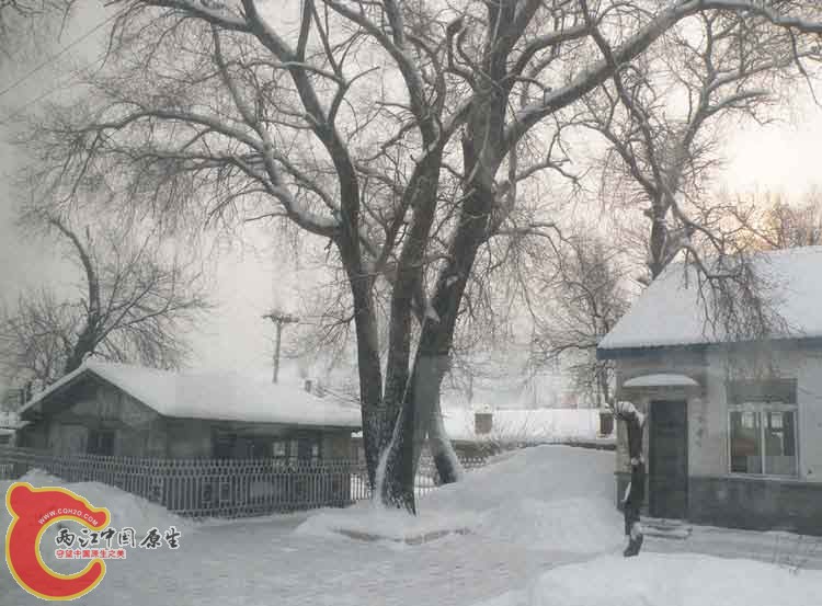 DSCN1029.jpg