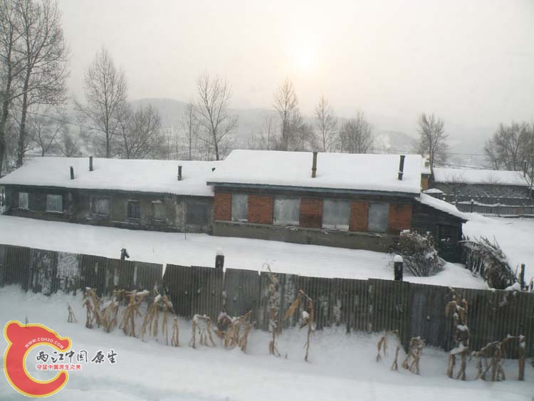 DSCN1036.JPG