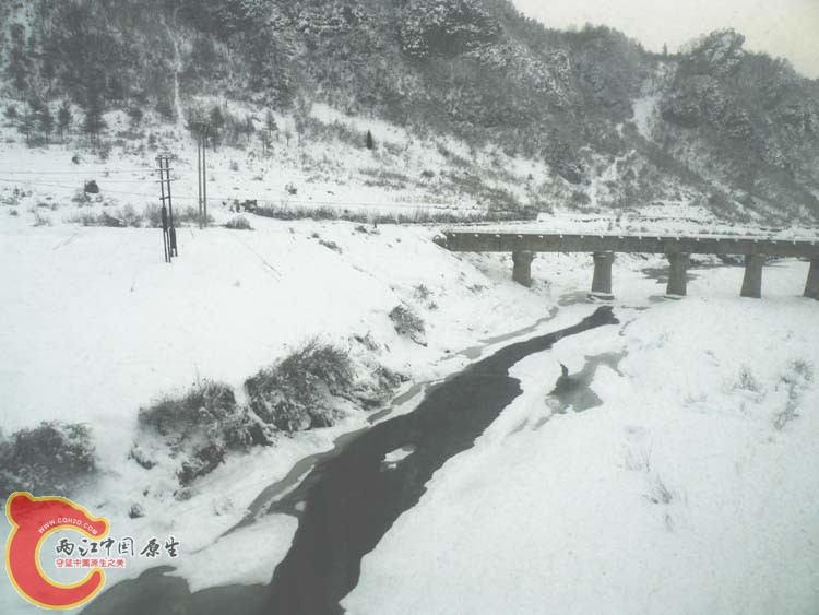 DSCN1050.JPG