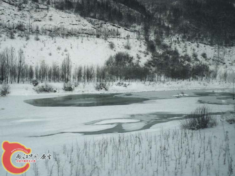 DSCN1076.JPG