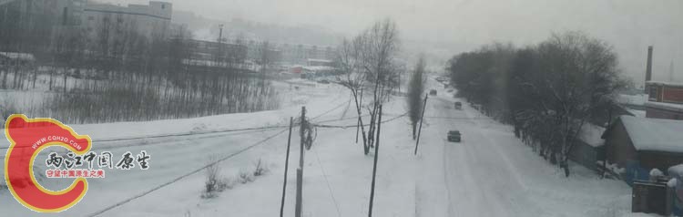 DSCN1083.JPG