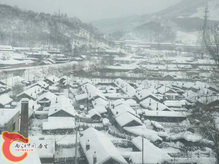 DSCN1097.JPG