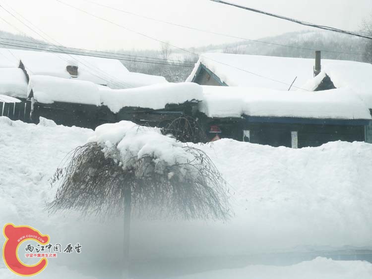 DSCN1093.JPG