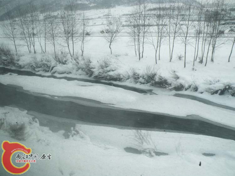 DSCN1121.JPG