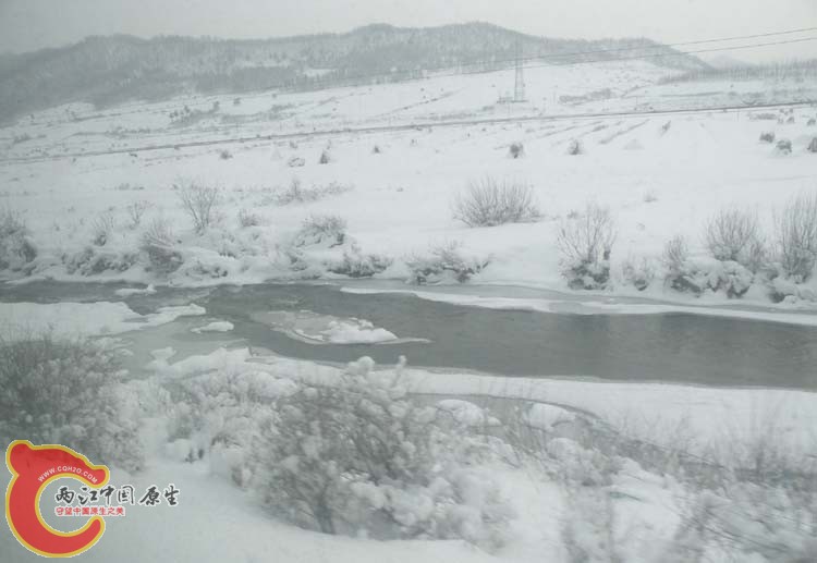 DSCN1124.JPG