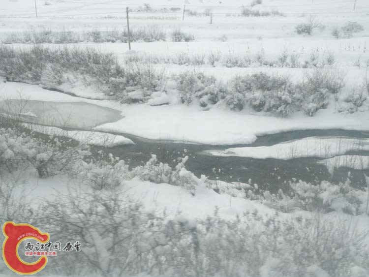 DSCN1144.JPG