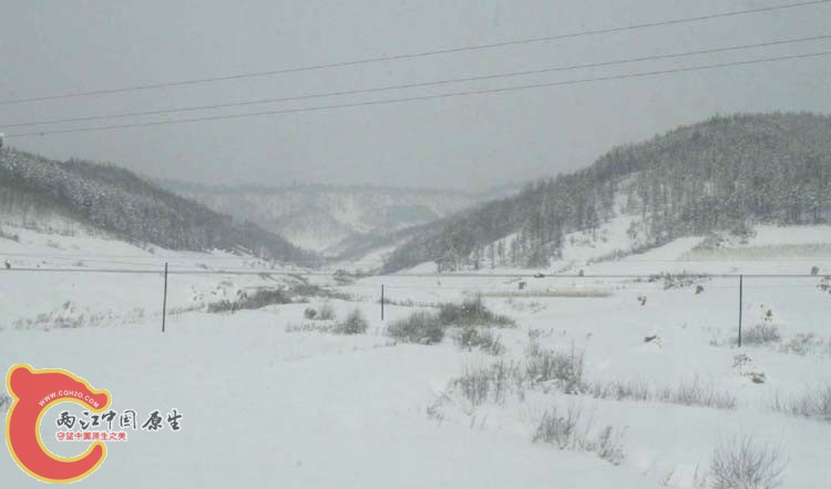 DSCN1147.JPG