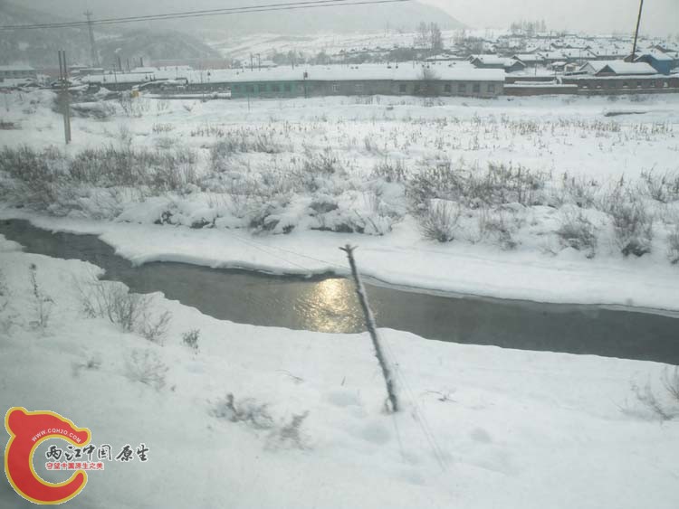 DSCN1181.JPG
