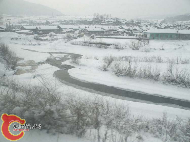 DSCN1183.JPG