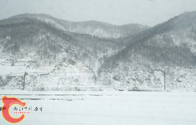 DSCN1190.JPG
