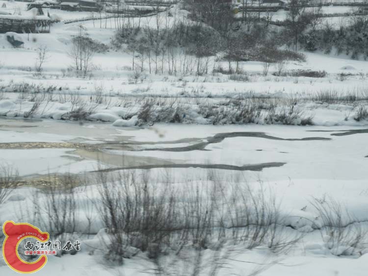 DSCN1198.JPG