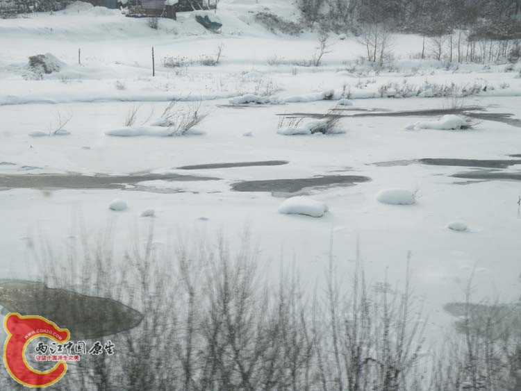 DSCN1197.JPG