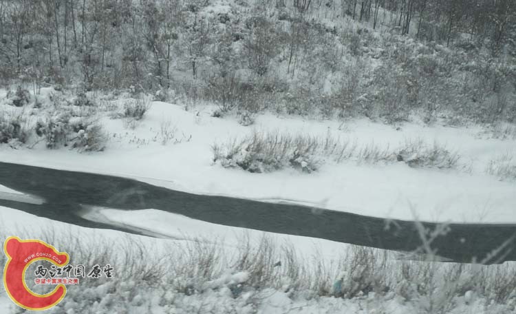 DSCN1201.JPG