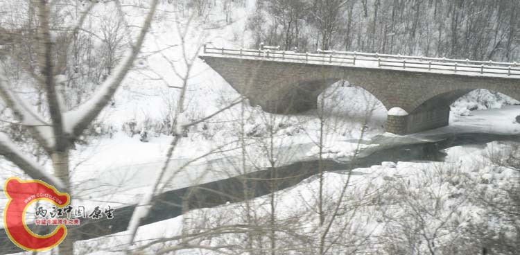 DSCN1206.JPG