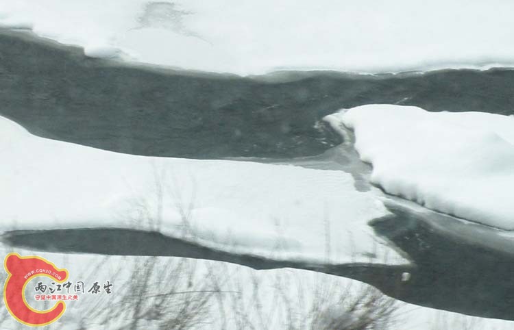 DSCN1203.JPG