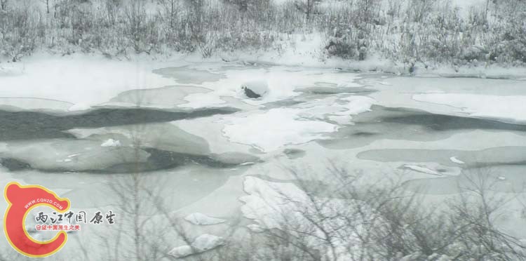 DSCN1209.JPG
