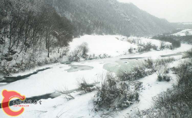 DSCN1215.JPG