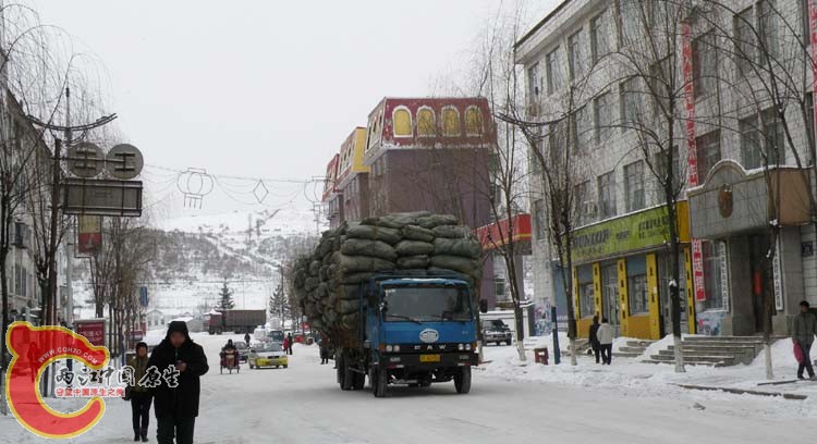 DSCN1237.JPG