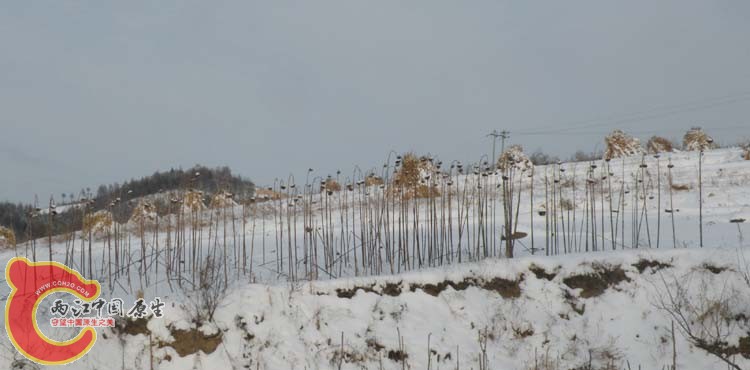 DSCN1245.JPG