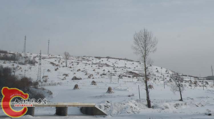 DSCN1277.JPG