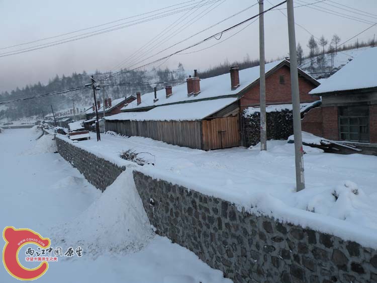DSCN1400.JPG