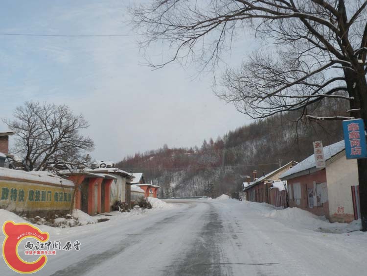 DSCN1278.JPG