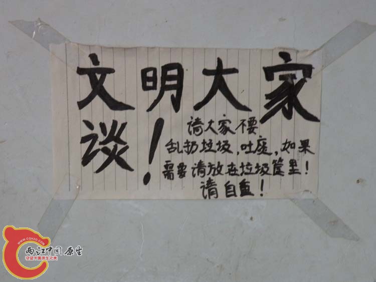 DSCN1415.JPG