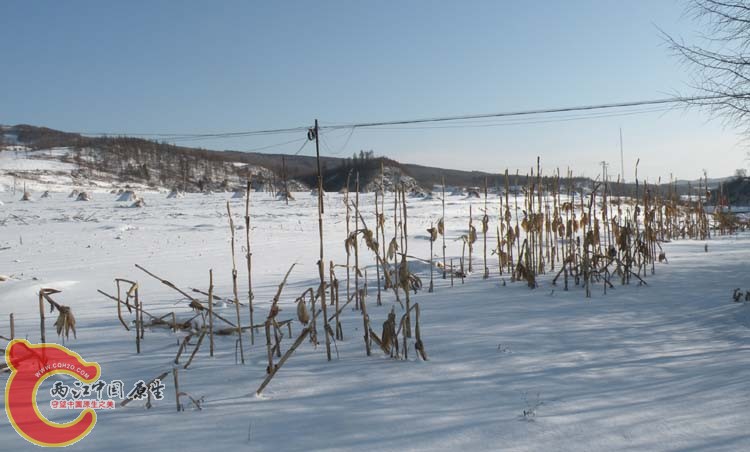 DSCN1774.JPG