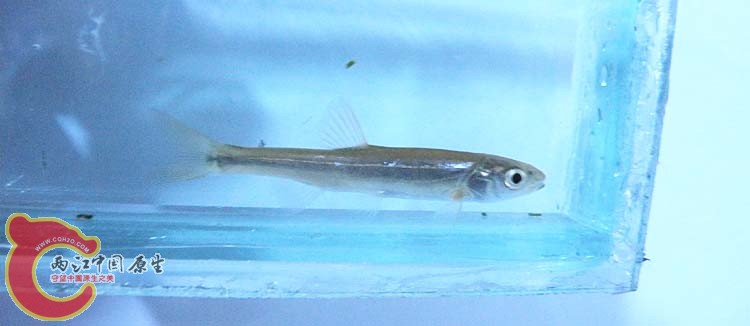 DSCN1796.JPG