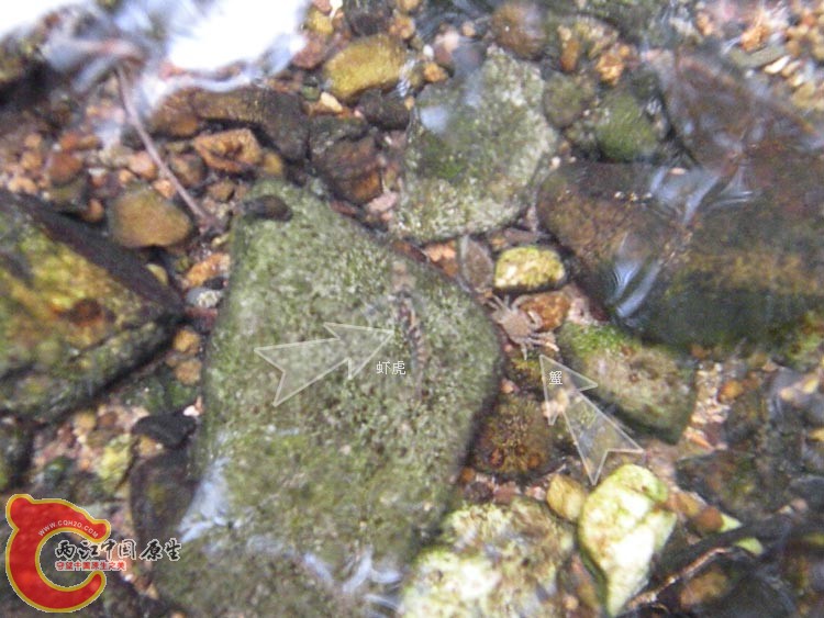 DSCN9949.JPG