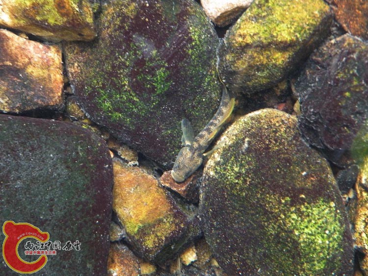 DSCN9881.JPG