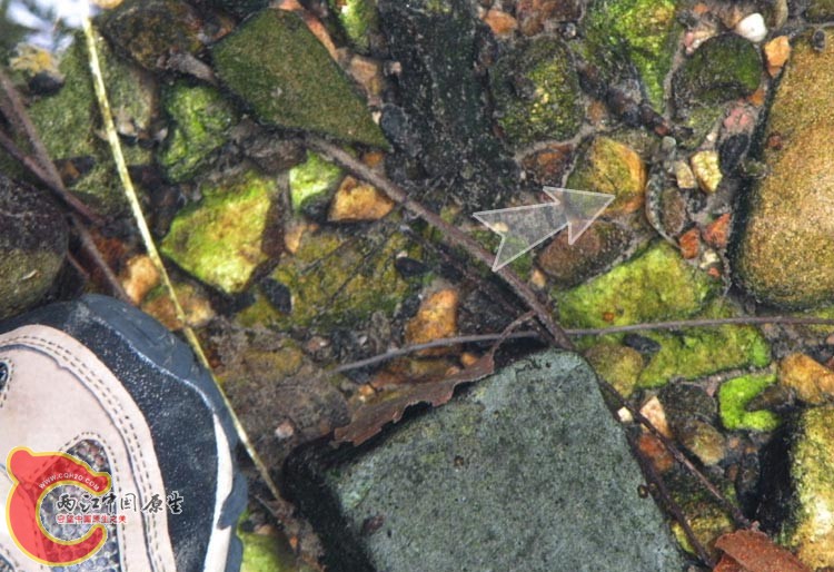 DSCN9877.JPG