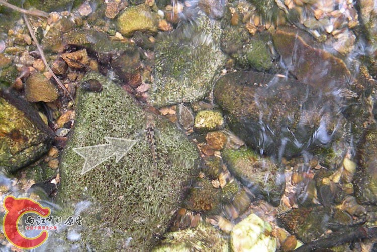 DSCN9955.JPG