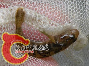 DSCN9956.JPG