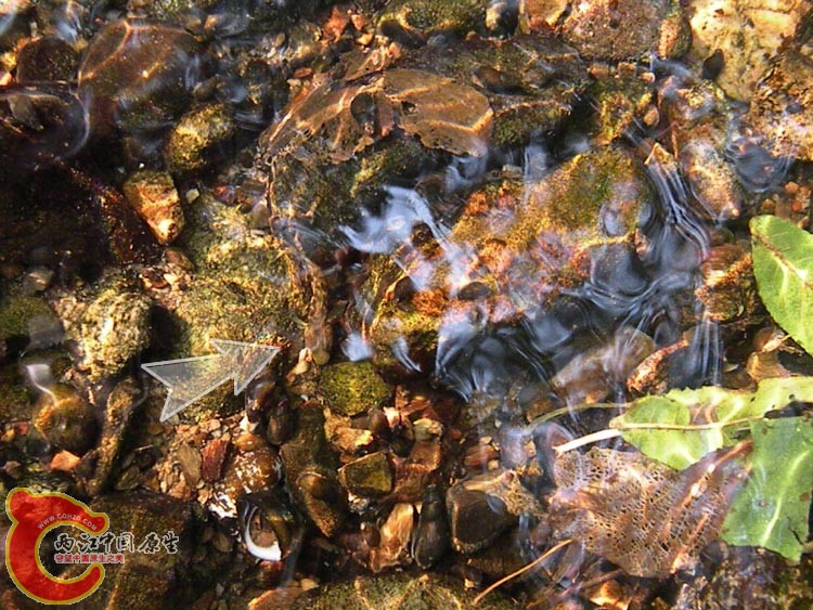 DSCN9977.jpg