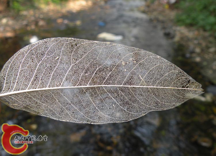 DSCN9970.jpg