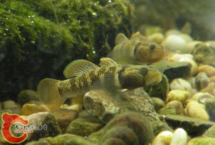 DSCN3202.JPG